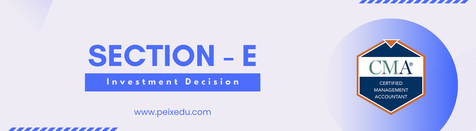 Section E - Investment Decision